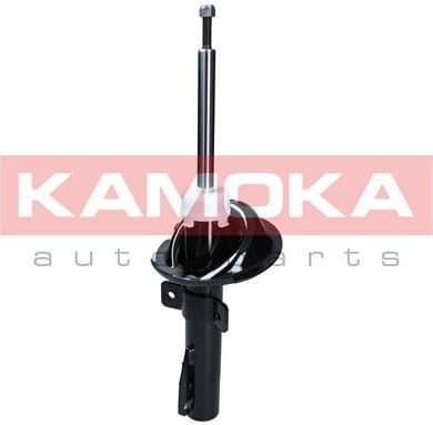 Shock Absorber 2000364