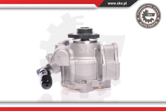 Hydraulic Pump, steering 10SKV148