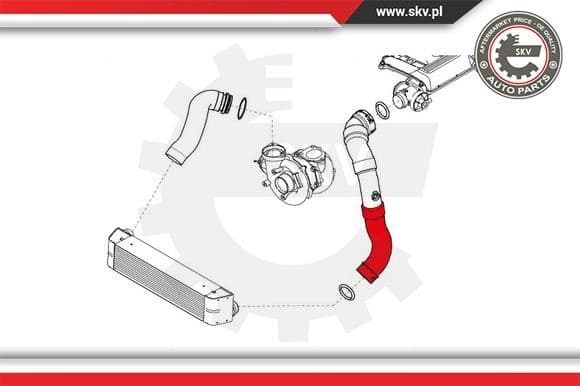 Charge Air Hose 24SKV718 - image 4