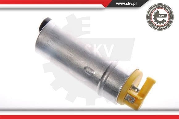 Fuel Pump 02SKV243