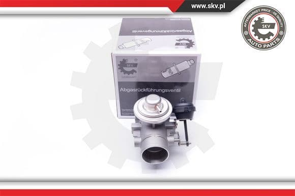 EGR Valve 14SKV107