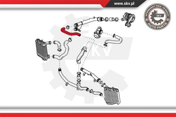 Charge Air Hose 24SKV954 - image 4
