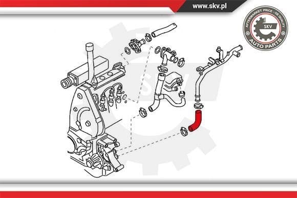 Radiator Hose 24SKV364 - image 4