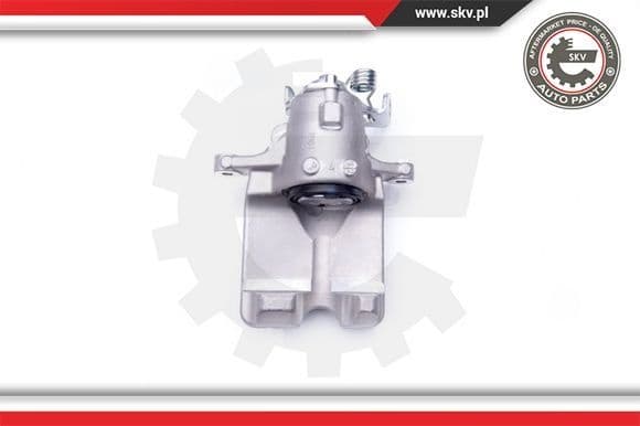Brake Caliper 42SKV063