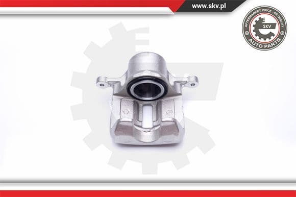 Brake Caliper 42SKV431