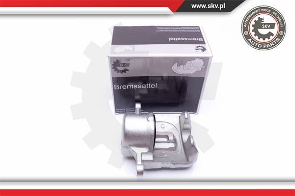 Brake Caliper 42SKV432