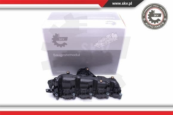 Intake Manifold Module 49SKV007