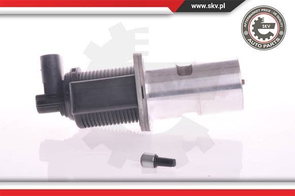 EGR Valve 14SKV011